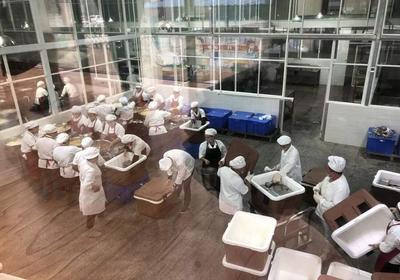 廣州番禺中央廚房集體配餐中心正式啟航，開啟餐飲管理新篇章