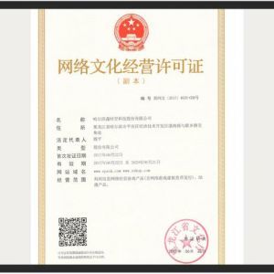網(wǎng)絡(luò)文化經(jīng)營許可證 定義、申請流程與行業(yè)意義
